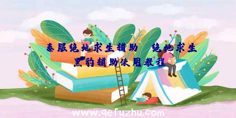 「泰服绝地求生辅助」|绝地求生黑豹辅助使用教程